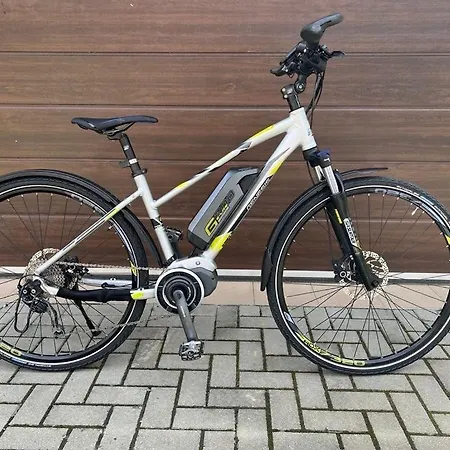 Gombi Nyaralo * 본보야크바세기